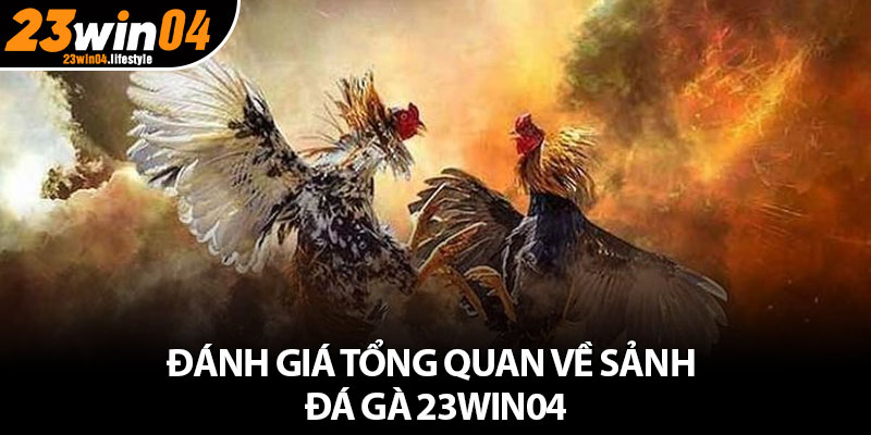 Đá Gà 23Win04 – Sân Đấu Đẳng Cấp Và Thú Vị Hàng Đầu 3 Đánh giá tổng quan về sảnh đá gà 23Win04