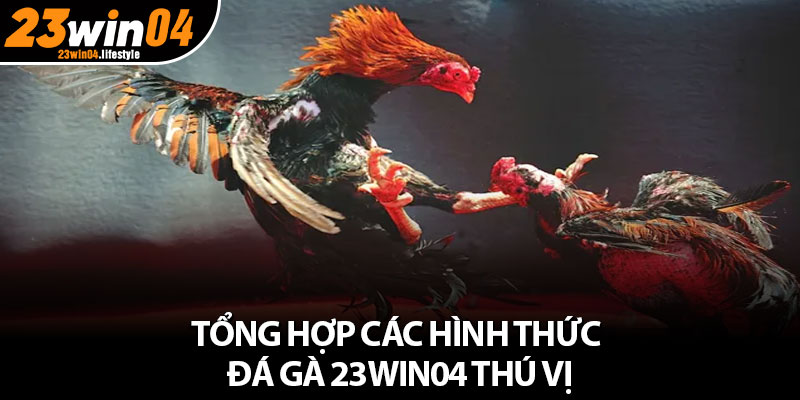 Đá Gà 23Win04 – Sân Đấu Đẳng Cấp Và Thú Vị Hàng Đầu 4 Tổng hợp các hình thức đá gà 23Win04 thú vị